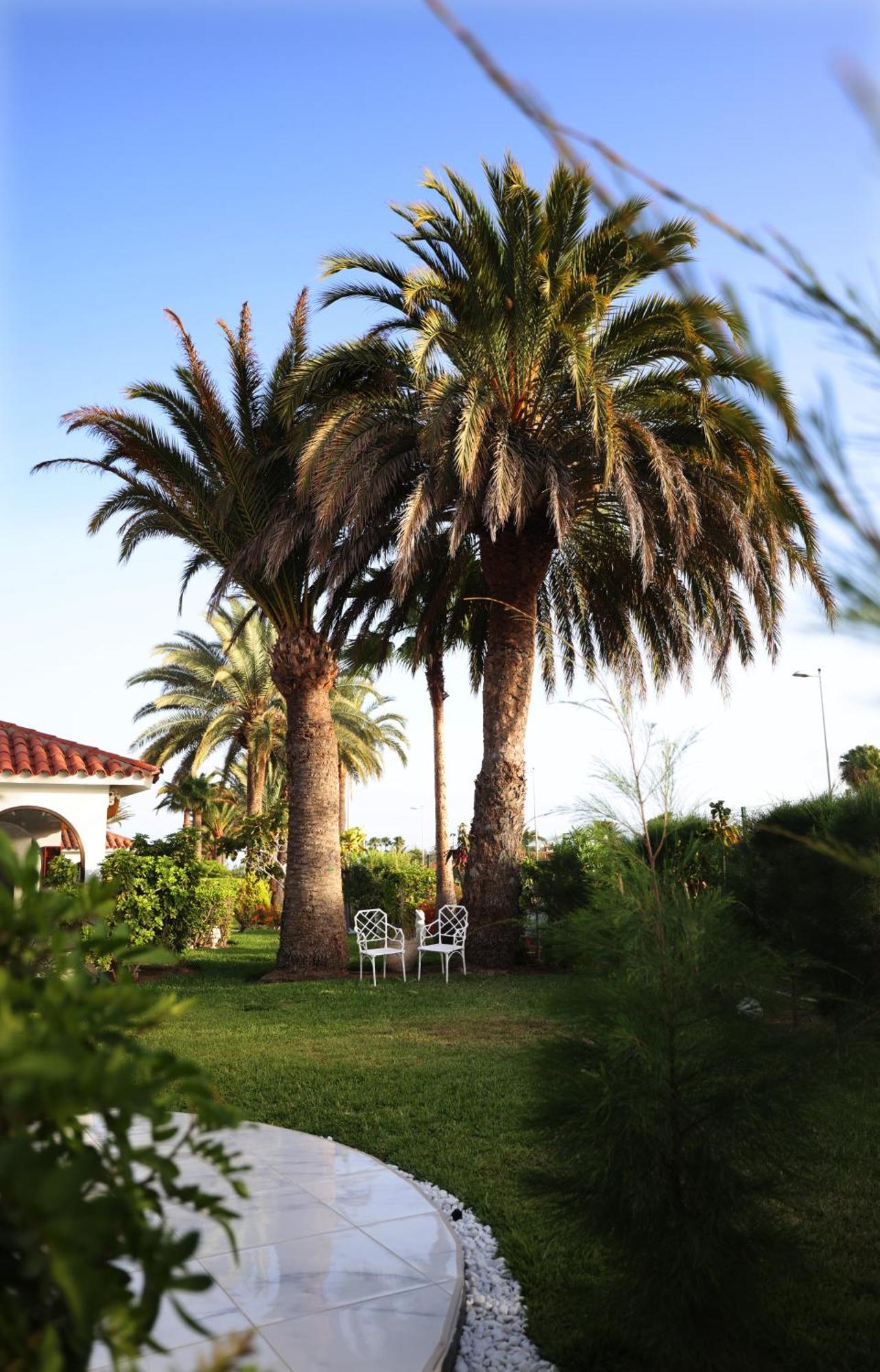 Hotel Sun Club Playa Del Ingles Zewnętrze zdjęcie